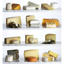cheese_000